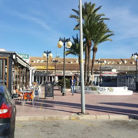 Cactus Apartment Denia