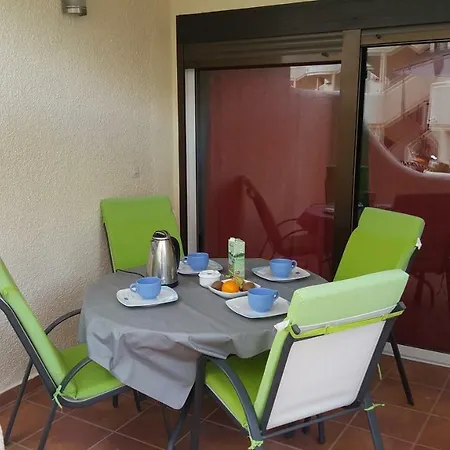 Cactus * Denia