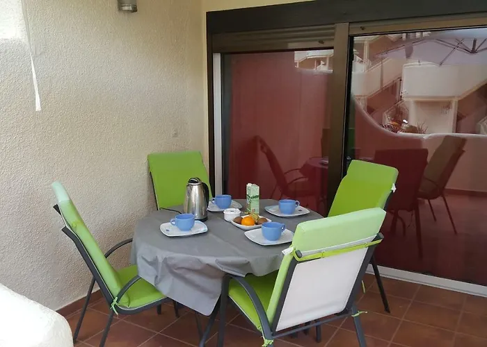 Cactus * Denia